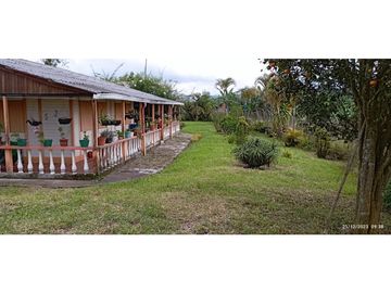 VENTA DE HERMOSA FINCA PARA PRODUCCION DE AGUACATE HAZZ