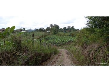 VENTA DE HERMOSA FINCA PARA PRODUCCION DE AGUACATE HAZZ