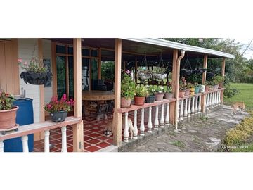 VENTA DE HERMOSA FINCA PARA PRODUCCION DE AGUACATE HAZZ