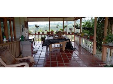 VENTA DE HERMOSA FINCA PARA PRODUCCION DE AGUACATE HAZZ