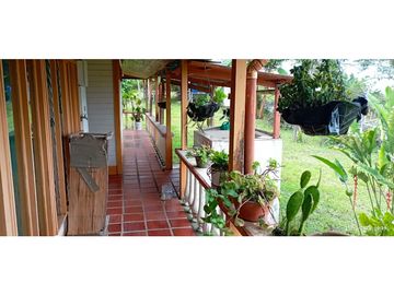 VENTA DE HERMOSA FINCA PARA PRODUCCION DE AGUACATE HAZZ