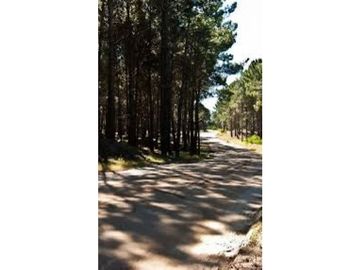 DEPARTAMENTO 3 AMB EN VENTA CENTRO Y PLAYA PINAMAR-RECICLADO A NUEVO!