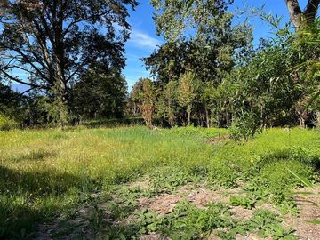 Sitio en Venta en Alto llihue