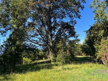 Sitio en Venta en Alto llihue