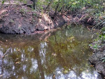 RANCHO EN VENTA  30 HA TUXPAN-TAMIAHUA