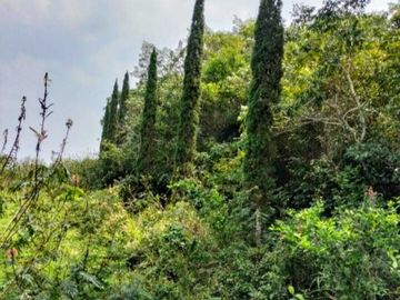 RANCHO EN VENTA  30 HA TUXPAN-TAMIAHUA