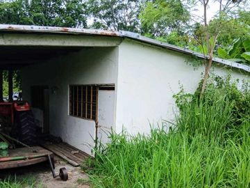 RANCHO EN VENTA  30 HA TUXPAN-TAMIAHUA