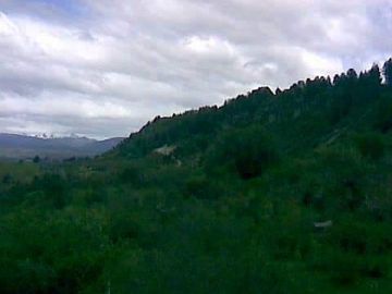 Chacra - Cholila