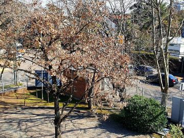 Oficinas - Alquiler - Martinez, San Isidro