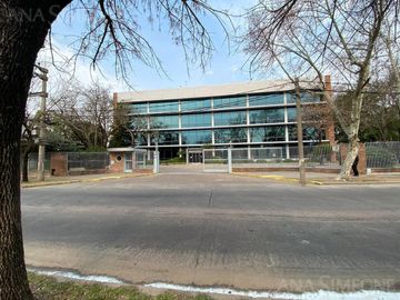 Oficinas - Alquiler - Martinez, San Isidro