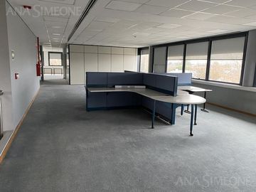 Oficinas - Alquiler - Martinez, San Isidro