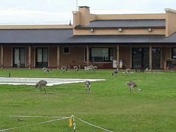 Casa Quinta venta - 4 dormitorios - 35.000mts2 -  Estancia Benquerencia, San Miguel del Monte