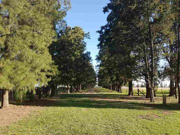 VENTA QUINTA RUTA 205  77450 M2 CAÑUELAS