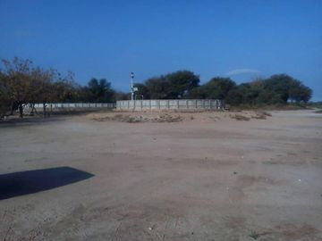 Campo de 610 has en venta