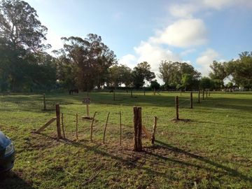Terreno en venta - 310mts2  - Miramar
