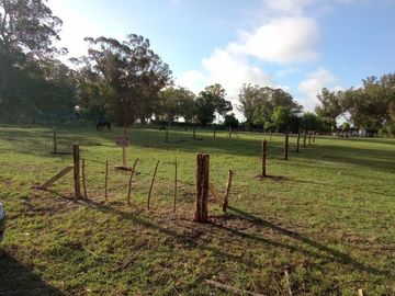Terreno en venta - 310mts2  - Miramar