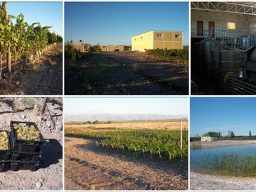 Bodega - Barrancas