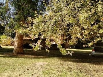Quinta en venta - 5 dormitorios 3 baños - 396mts2 - Mar Del Plata