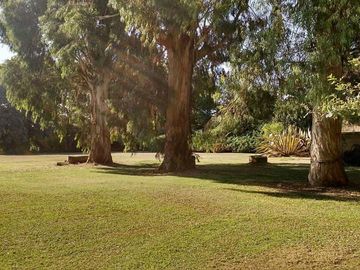 Quinta en venta - 5 dormitorios 3 baños - 396mts2 - Mar Del Plata