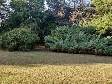 Quinta en venta - 5 dormitorios 3 baños - 396mts2 - Mar Del Plata