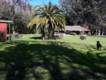 Casa - San Luis