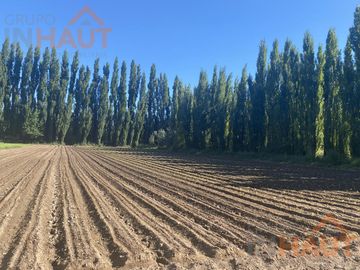 Terreno - Vista Alegre Sur