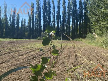 Terreno - Vista Alegre Sur