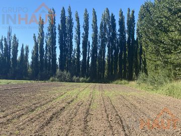 Terreno - Vista Alegre Sur