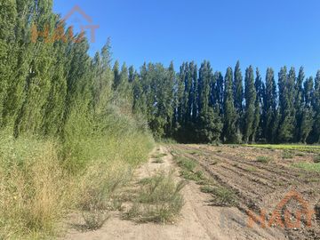 Terreno - Vista Alegre Sur