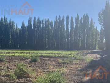 Terreno - Vista Alegre Sur