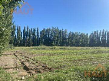 Terreno - Vista Alegre Sur