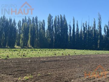 Terreno - Vista Alegre Sur