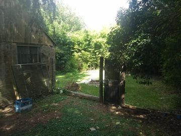 Casa - Platanos