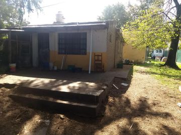 Casa - Platanos