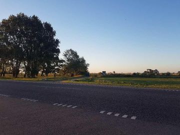 VENTA CHACRA  77450 M2 CAÑUELAS