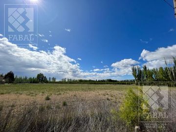 Chacra venta Cipolletti, 4 ha. con peras y manzanas