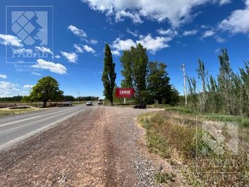 Chacra venta Cipolletti, 4 ha. con peras y manzanas