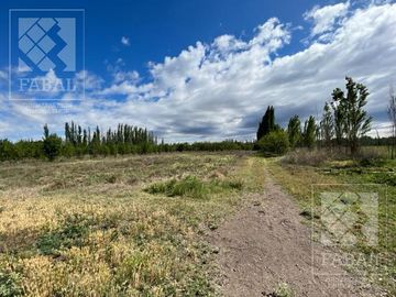 Chacra venta Cipolletti, 4 ha. con peras y manzanas