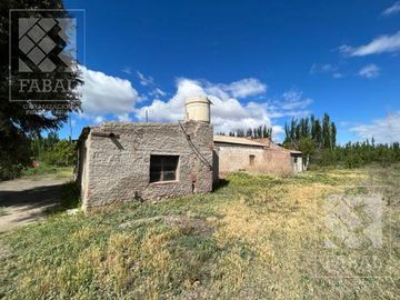 Chacra venta Cipolletti, 4 ha. con peras y manzanas
