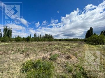 Chacra venta Cipolletti, 4 ha. con peras y manzanas
