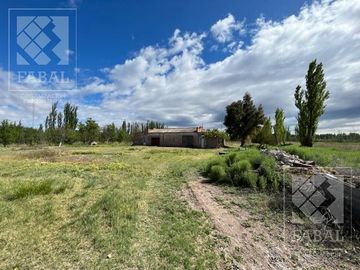 Chacra venta Cipolletti, 4 ha. con peras y manzanas