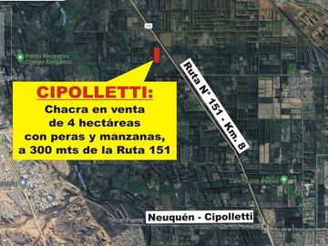 Chacra venta Cipolletti, 4 ha. con peras y manzanas