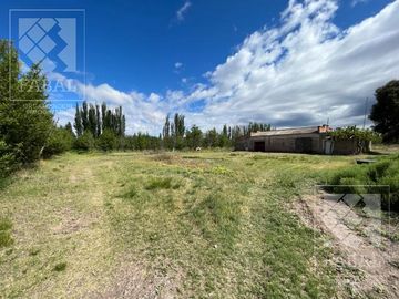 Chacra venta Cipolletti, 4 ha. con peras y manzanas