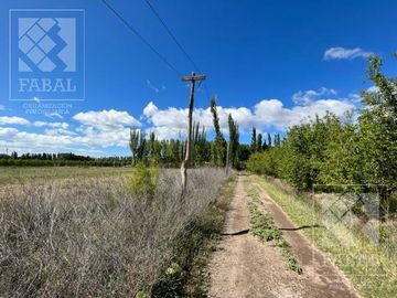 Chacra venta Cipolletti, 4 ha. con peras y manzanas
