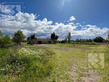 Chacra venta Cipolletti, 4 ha. con peras y manzanas