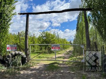 Chacra venta Cipolletti, 4 ha. con peras y manzanas