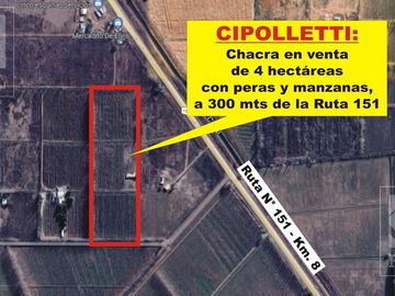 Chacra venta Cipolletti, 4 ha. con peras y manzanas