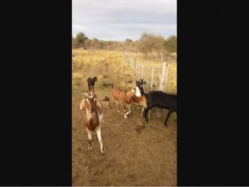 Chacra Y Campo Con EscRitura