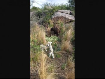 Chacra Y Campo Con EscRitura