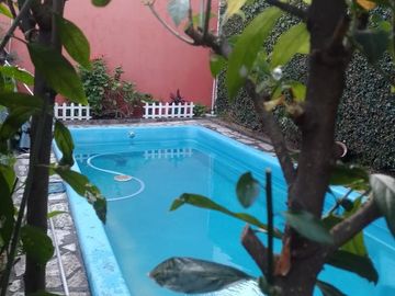 Casa 6 ambientes, suite, escritorio, cochera, jardín con pileta y terraza.